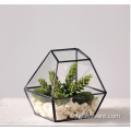 Forma Super Large Glass Terrarium Geometric